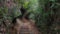 Stairs in forest road abstract