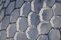 Nature Abstract: Wire Fencing Frost Covered and Freezing in Winter