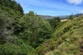 Looking down Whitemoor Clough