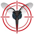 Nature, Aedes aegypti Mosquito with stilt sights signal or target, Front head