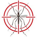 Nature, Aedes Aegypti mosquitoes stilt with sight signal or target, top view