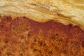 Nature afzelia burl wood striped