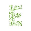 Nature alphabet, ecology decorative font.