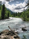 Nature is altai. Mountain landscape, forests and reservoirs of a