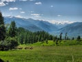 Nature is altai. Mountain landscape, forests and reservoirs of a