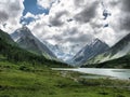 Nature is altai. Mountain landscape, forests and reservoirs of a