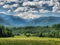 Nature is altai. Mountain landscape, forests and reservoirs of a