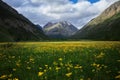 Nature of the Altai Mountains, alpine landscapes, mountain ranges and peaks, hiking