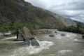 Nature in the Altai Mountains Royalty Free Stock Photo