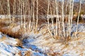 Nature Altaya pleases eye Royalty Free Stock Photo
