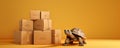 Nature animal turtle tortoise reptile Royalty Free Stock Photo