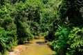 Nature, Annah Rais, Sarawak, Malaysia