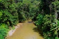 Nature, Annah Rais, Sarawak, Malaysia