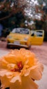 Nature ant love romantic outdoor Colourful blurred background car yellow focus focalleanth Bangladesh cars sport aesthetic