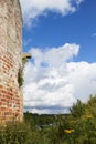 Nature Around Hald Castle near Hald Lake in Denmark Royalty Free Stock Photo