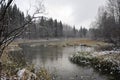 After the first snowfall Royalty Free Stock Photo