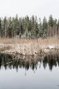 The nature around the lake after the first snowfall Royalty Free Stock Photo