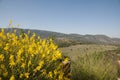 The Meron mountains in the Galilee