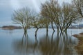 Spring flood in Kaunas, confluence of the Nemunas and the Neris ND1000 Flooded park, trees, city infrastructure. Water level, rive Royalty Free Stock Photo