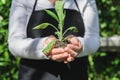 Nature as bio medicine, Earth day in your hand Royalty Free Stock Photo