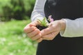 Nature as bio medicine, Earth day in your hand Royalty Free Stock Photo