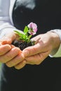 Nature as bio medicine, Earth day in your hand Royalty Free Stock Photo