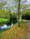 Nature in autumn Amsterdam Royalty Free Stock Photo