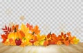 Nature autumn background. Happy Thanksgiving holiday card Royalty Free Stock Photo