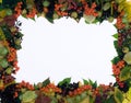 nature autumn frame (fall fruits and leaves)