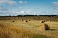 Nature background. Bales of hay in an agricultural field. Wheat field after harvest in Russia. Agricultural landscape