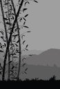 Nature background with bamboo portrait view. Black and white scenery mobile wallpaper