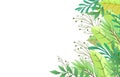 Nature background, banner green border, beautiful art forest, Vector Royalty Free Stock Photo