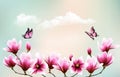 Nature background with beautiful magnolia branches on sky with clouds Royalty Free Stock Photo