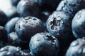 Nature background. Big beautiful water drops on ripe and juicy fresh picked blueberries closeup. Macro view of abstract nature tex Royalty Free Stock Photo