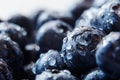 Nature background. Big beautiful water drops on ripe and juicy fresh picked blueberries closeup. Macro view of abstract nature tex Royalty Free Stock Photo