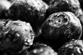 Nature background. Big beautiful water drops on ripe and juicy fresh picked blueberries closeup. Macro view of abstract nature tex Royalty Free Stock Photo