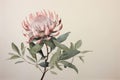 Nature background bloom floral watercolor pink summer protea bright spring flower leaf colorful beauty Royalty Free Stock Photo