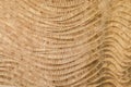 Nature background of brown handicraft weave texture bamboo surface Royalty Free Stock Photo