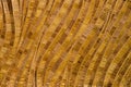 Nature background of brown handicraft weave texture bamboo surface Royalty Free Stock Photo