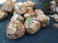Nature background of a bunch of coconuts