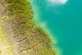 Nature background with coastal reed and shining turquoise quarry lake water. drone photo