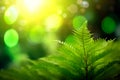 Nature background with copy space, green fern, defocused lighs and sun leak. Generative AI