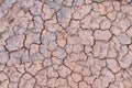 Nature background of cracked dry lands Royalty Free Stock Photo