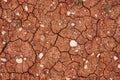 Nature background of cracked dry lands. Natural texture of soil with cracks. Broken clay surface of barren dryland