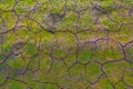 Nature background of cracked dry lands. Natural texture of soil with cracks. Climate change, drought concept Royalty Free Stock Photo