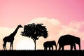 Nature background with elephants and giraffe