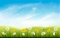 Nature background with grass and flowers and butterflies. Royalty Free Stock Photo