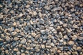 Nature background from gray sea pebbles. Sandy and rocky texture. Royalty Free Stock Photo