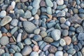 Nature background from gray sea pebbles, texture Royalty Free Stock Photo