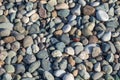 Nature background from gray sea pebbles, texture Royalty Free Stock Photo